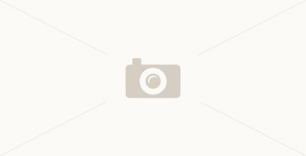 Carlton Arms Of North Lakeland Lakeland Fl Apartment