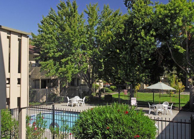 Dog Friendly Apartments For Rent In Concord Ca Dog Friendly Apartments For Rent In Concord Ca