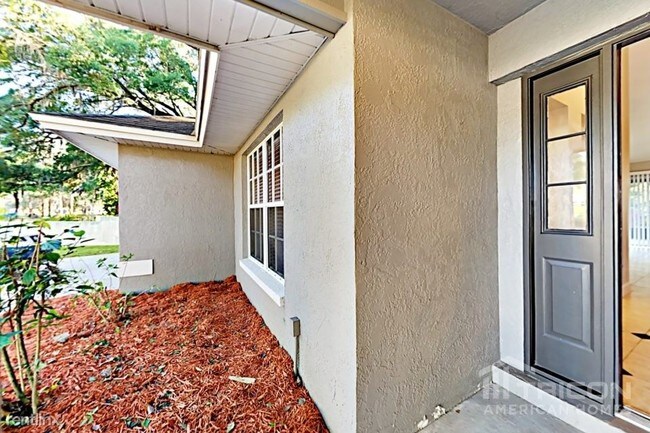 19203 Sunlake Blvd Lutz Fl Apartment Finder Building Photo 19203 Sunlake Blvd