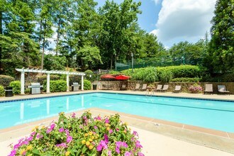 The Eva Apartments Sandy Springs Ga The Eva Apartments Sandy Springs Ga