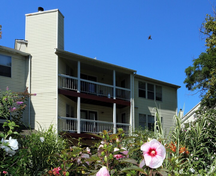 Riverview Apartments Laurel Md Apartment Finder