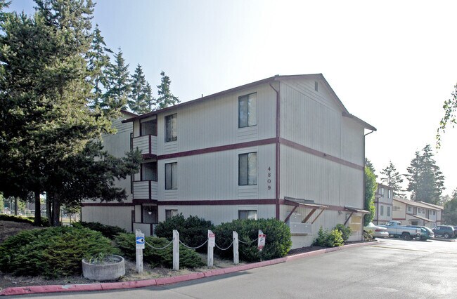 Springtree Apartments Lakewood Wa Springtree Apartments Lakewood Wa