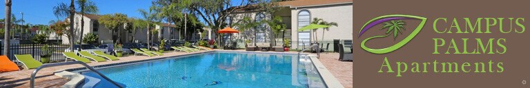 33612 apartments for rent find apartments in 33612 tampa fl